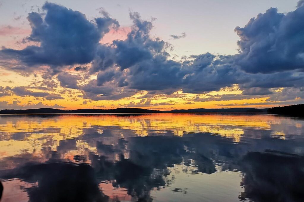 Projektien johto (YVA, luvitus)