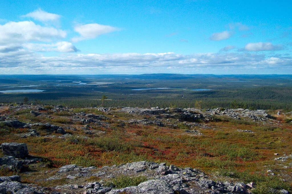 Ympäristöpäällikköpalvelut